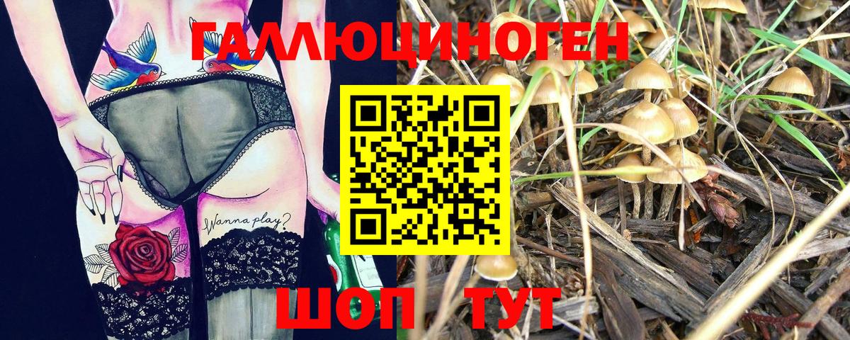 Псилоцибиновые грибы Cubensis Орехово-Зуево