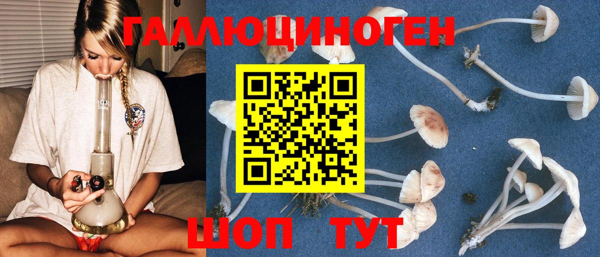 Орехово-Зуево  как найти закладки  Вход с VPN  Галлюциногенные грибы Cubensis 